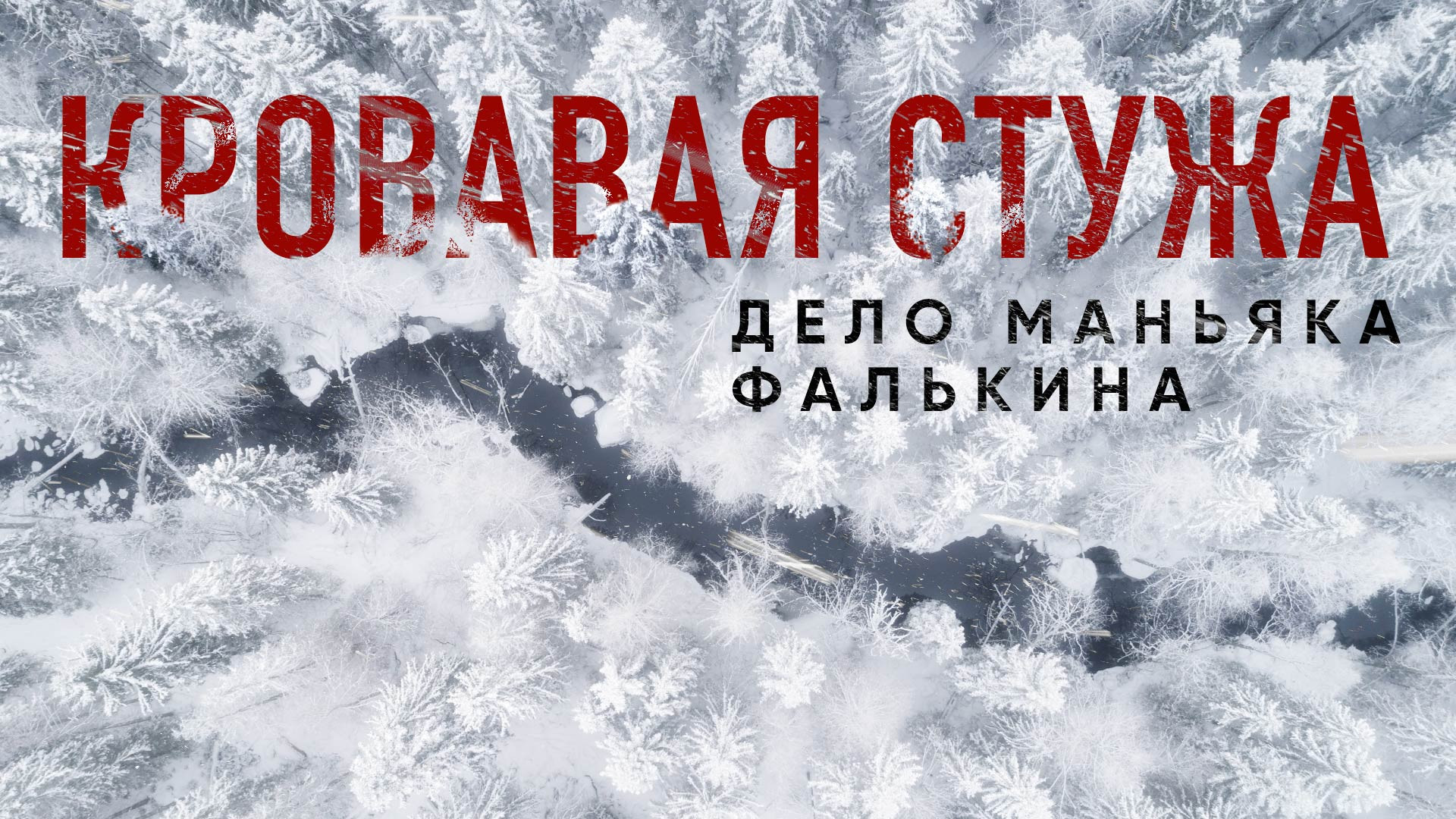 Кровавая стужа. Дело маньяка Фалькина