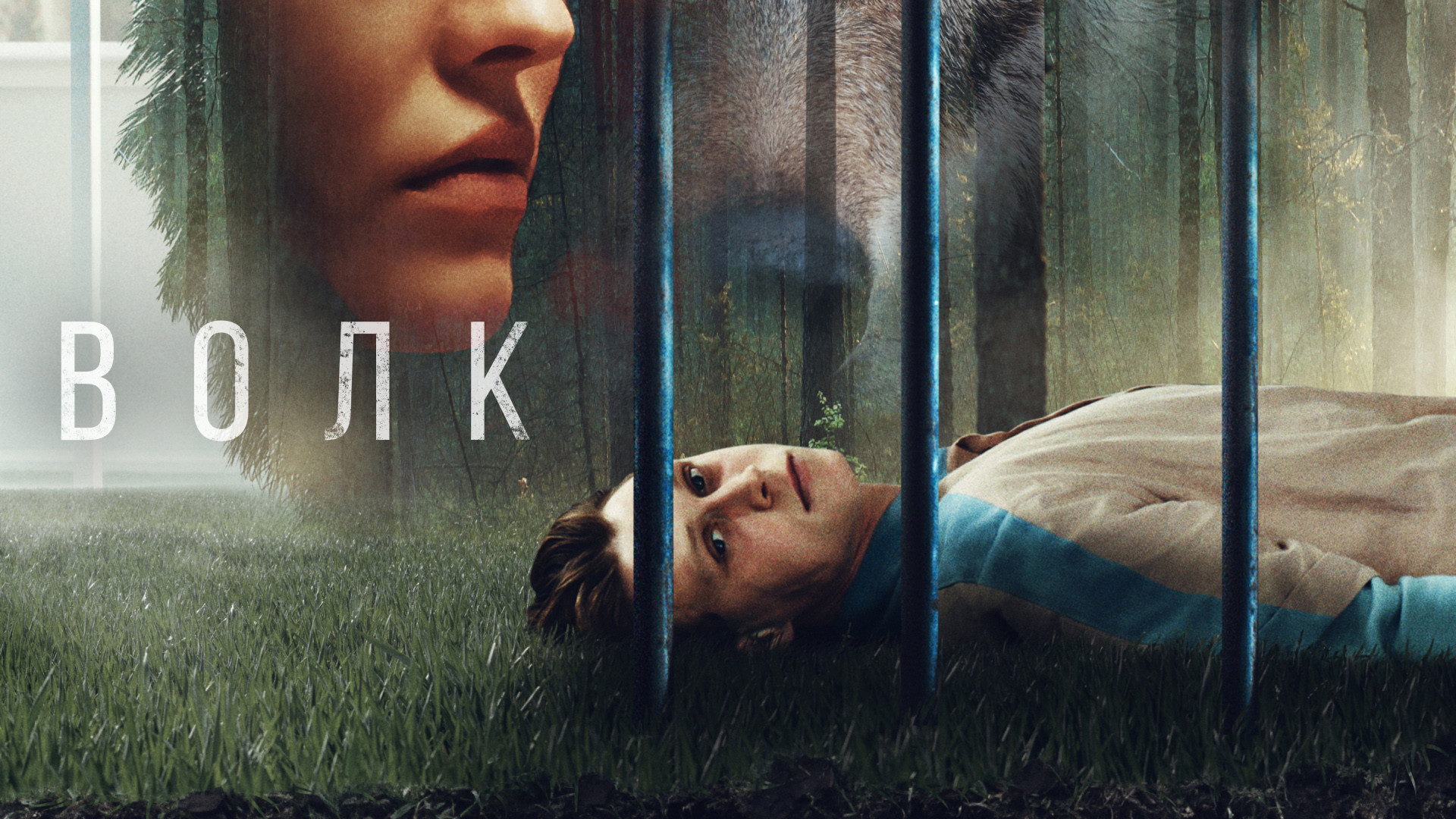 Волк (2021)